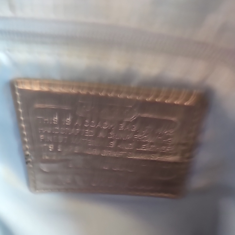 Coach Poppy Graphic Blossom Graffiti Glam Tote - Picture 13 of 16